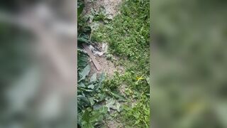 Leoslut is a human pooper scooper