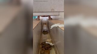 Voyeur Chinese Scat
