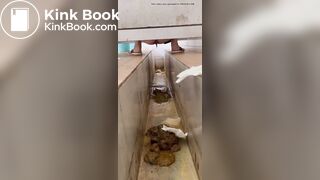 Voyeur Chinese Scat