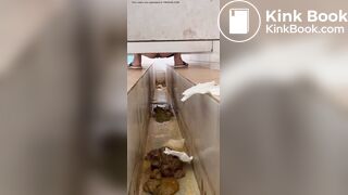 Voyeur Chinese Scat