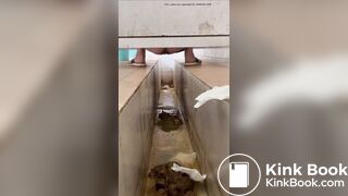 Voyeur Chinese Scat