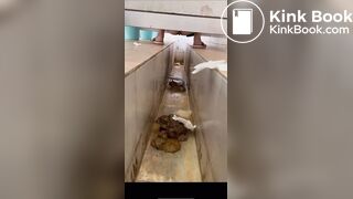 Voyeur Chinese Scat