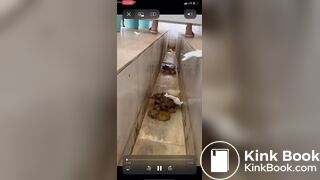 Voyeur Chinese Scat