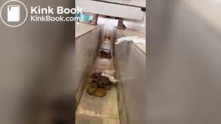 Voyeur Chinese Scat