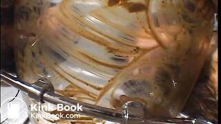 my favorite, scat, favorite - video 2