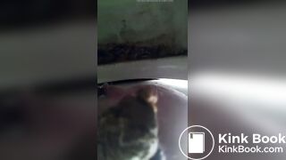 fent head self records shitting