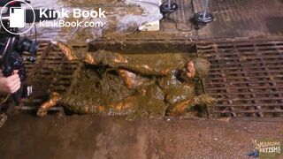 Wicked Betty in the manure channel bonus