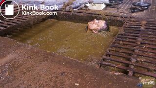 Wicked Betty in the manure channel bonus