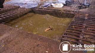 Wicked Betty in the manure channel bonus