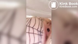 Spiderweb 7