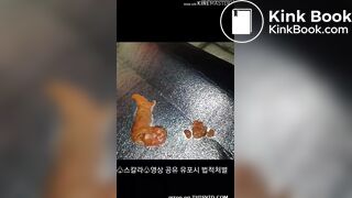 korean scat femdom 3