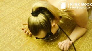 Beautiful dogwore shit and lick her scat