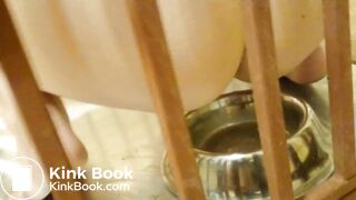 Beautiful dogwore shit and lick her scat2