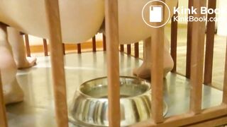 Beautiful dogwore shit and lick her scat2