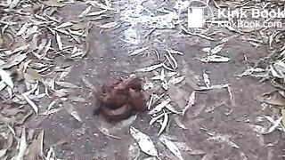 Teen girl pooping and pissing