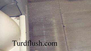 self cleaning toilet