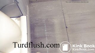 self cleaning toilet