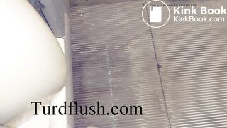 self cleaning toilet