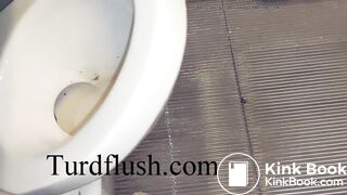 self cleaning toilet