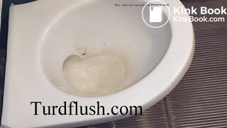 self cleaning toilet