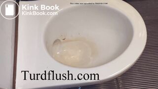 self cleaning toilet