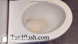 self cleaning toilet