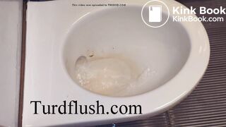 self cleaning toilet