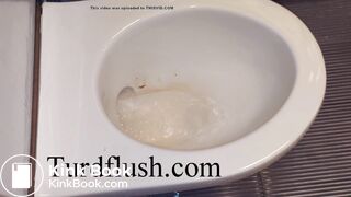 self cleaning toilet