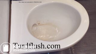 self cleaning toilet