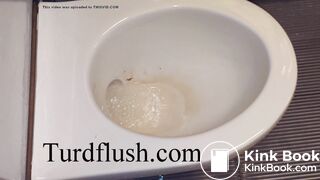 self cleaning toilet