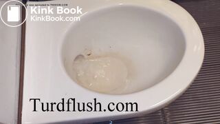 self cleaning toilet