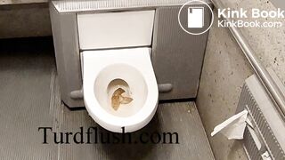 self cleaning toilet