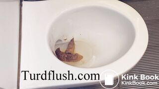 self cleaning toilet