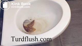 self cleaning toilet