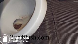 self cleaning toilet