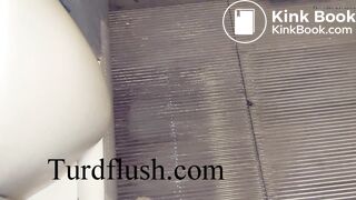 self cleaning toilet