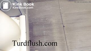 self cleaning toilet