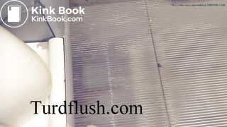 self cleaning toilet