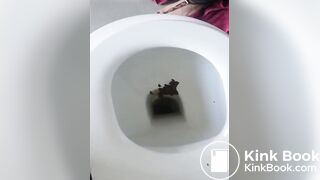 Shit263