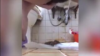 korean girl scat - video 53