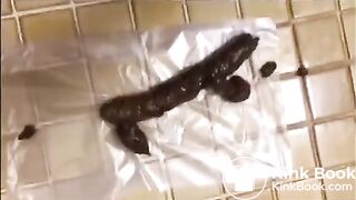 korean girl scat - video 53