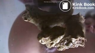 Woman shits on losers face