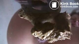 Woman shits on losers face