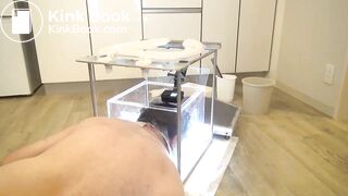 japanese scat femdom 3