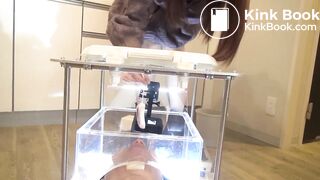 japanese scat femdom 3