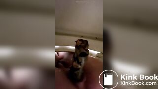 amatuer girl close up toilet shitting 2