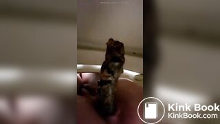 amatuer girl close up toilet shitting 2