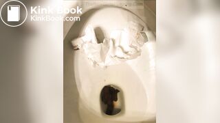 Toilet pooping - video 6 - video 2