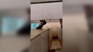Asian poop Toilet 3