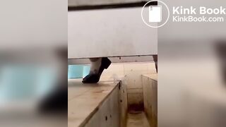 Asian poop Toilet 3